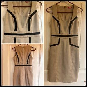 XOXO Business Casual Dress